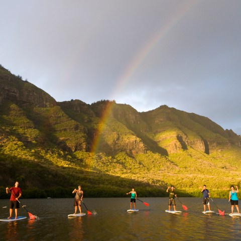 People stand-up paddleboarding with a rainbow behind them.