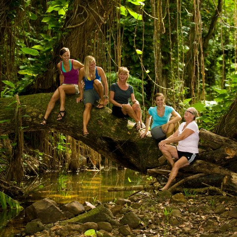 A family posing on a large tree limb in the jungle
