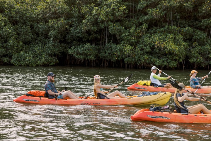 Guided kayak tour on the Huleʻia River through lush mangroves on Kauaʻi