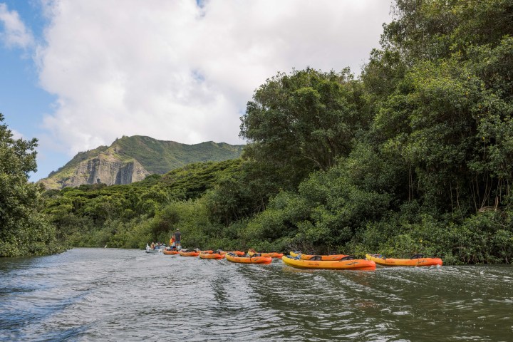 Kayaks floating along the Huleʻia River during a guided Kauaʻi kayak tour