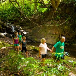 a group of people trail walking