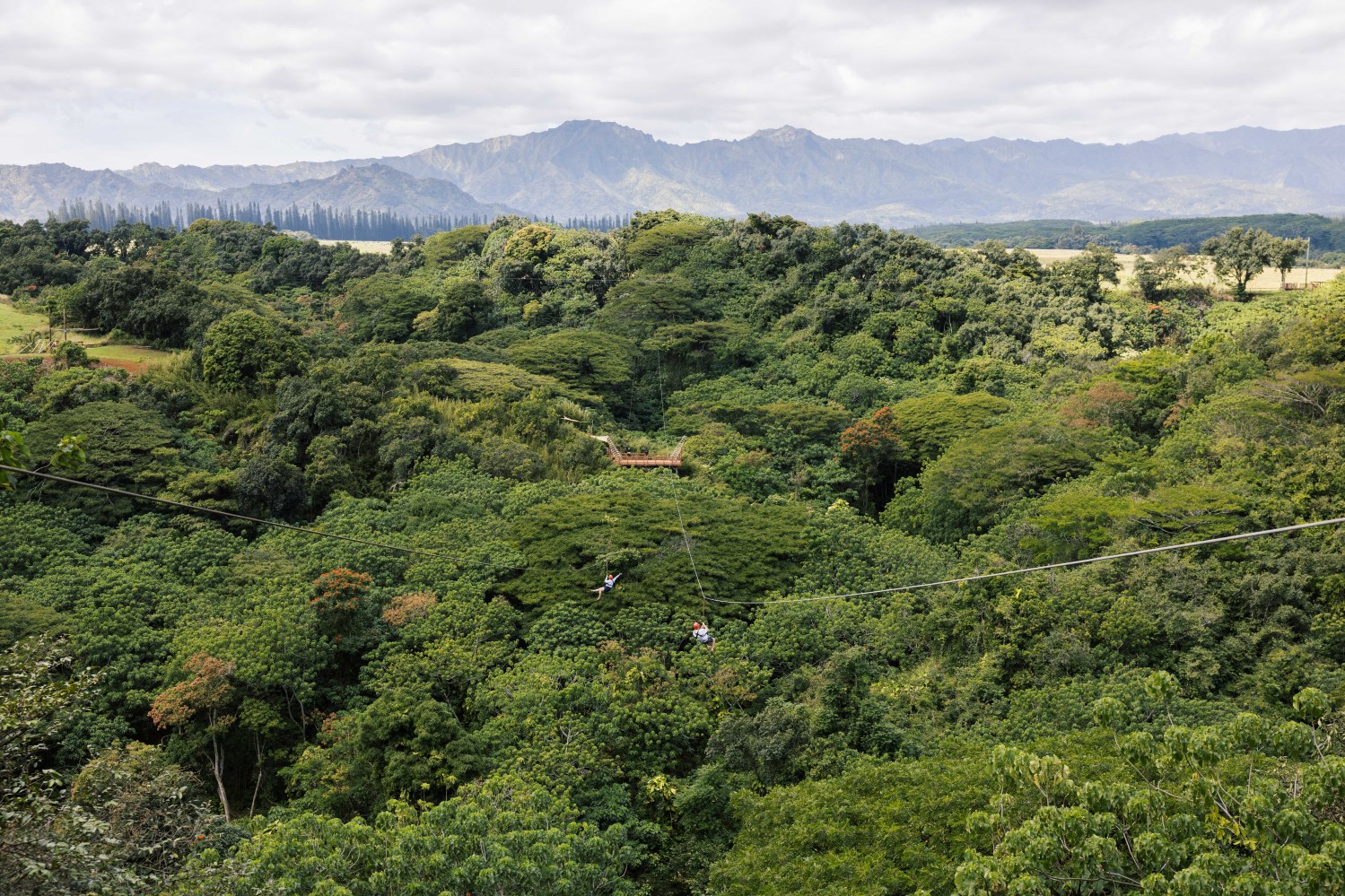 Guests ziplining on the Outfitters Kauai Zipline Safari, flying above lush Kipu Ranch with sweeping Kauai mountain views.