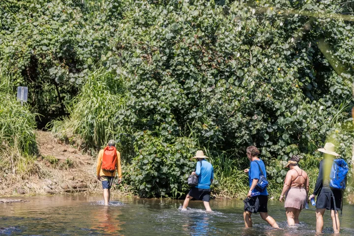 Guests hiking across the Wailua River during a guided kayak and waterfall hike tour on Kauaʻi