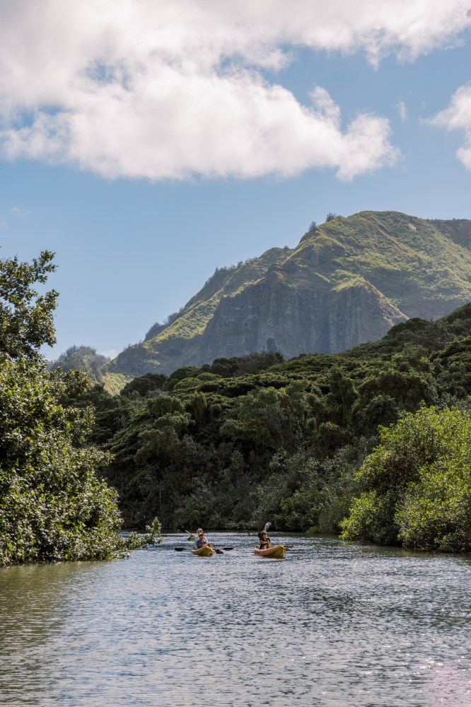 Guests kayaking on the Huleia River with Outfitters Kauaʻi on a guided adventure tour.