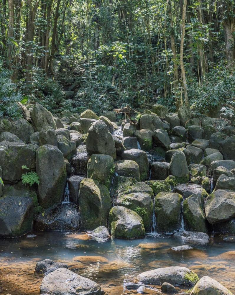 Hidden Falls waterfall on Kauai during the Outfitters Kauai kayak and waterfall hike tour near Lihue