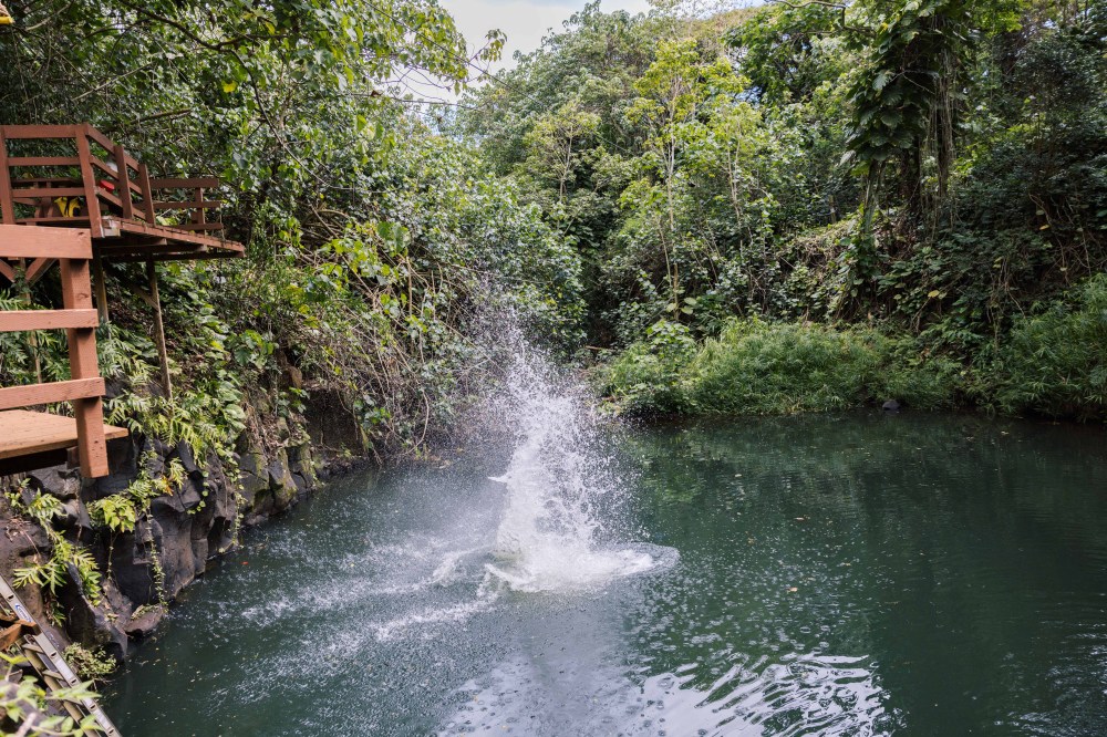 Freshwater swimming hole and waterfall along the Zipline Safari tour on Kauaʻi