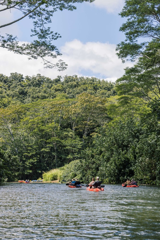  Guided kayak tour on the Wailua River with Outfitters Kauai, guests paddling toward Secret Falls on one of Kauai’s most popular rainforest river excursions.