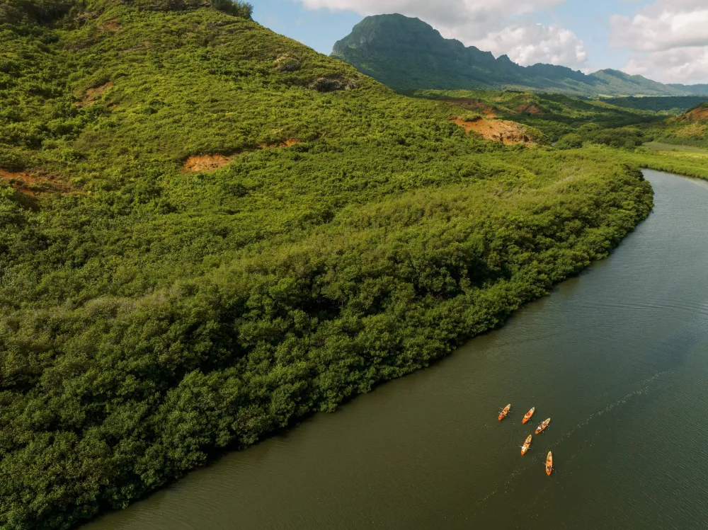 Aerial view of kayakers paddling along a scenic river surrounded by lush green mountains on Kauaʻi