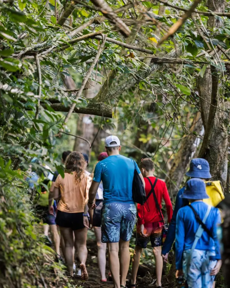 Guests hiking together along a shaded jungle trail on Kauaʻi as part of a guided adventure