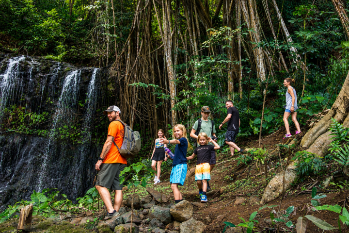 Families hiking beside a tropical waterfall and banyan grove on the Kīpū Falls & Treehouse Hike at Kīpū Ranch, Kauaʻi, Hawaiʻi.